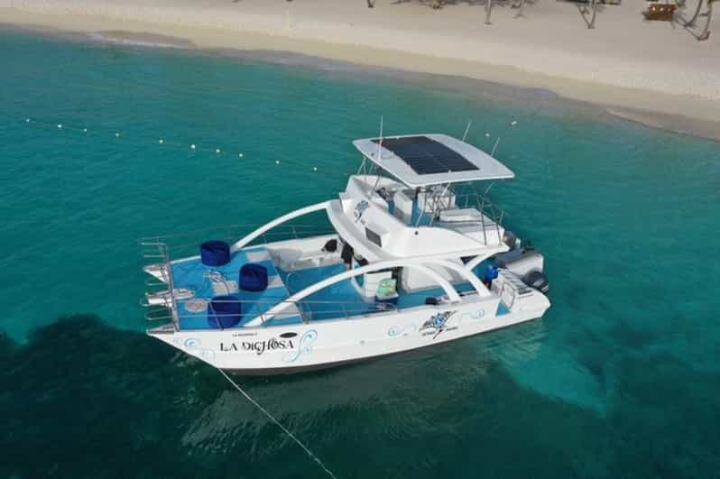 From Punta Cana: Saona Island Private Catamaran Day Trip - Itinerary and Activities