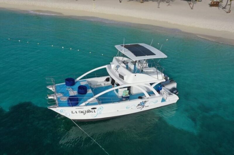 From Punta Cana: Saona Island Private Catamaran Day Trip - Highlights and Experiences