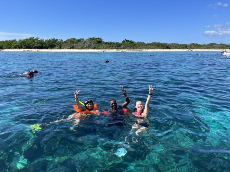 From Punta Cana: Small Group Catalina Island Snorkeling Tour - Key Points