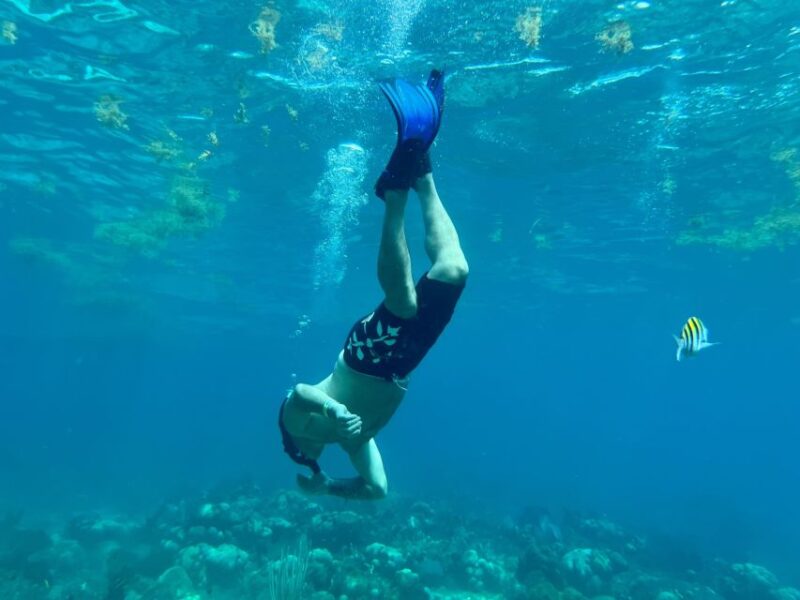 From Punta Cana: Small Group Catalina Island Snorkeling Tour - Preparation and Important Information