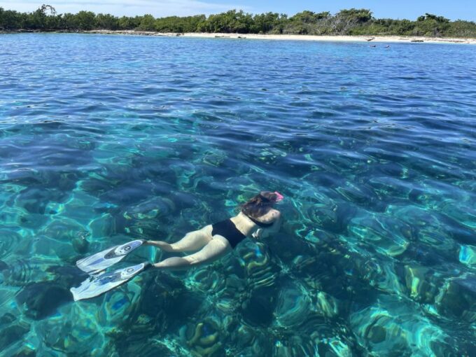 From Punta Cana: Small Group Catalina Island Snorkeling Tour - Frequently Asked Questions