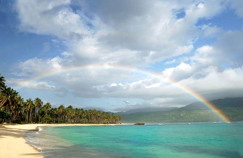 From Punta Cana: Whale Watching and Beaches Day Trip - Key Points