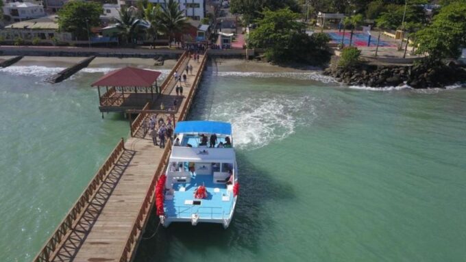 From Punta Cana: Whale Watching and Montana Redonda Tour - Memorable Moments and Feedback