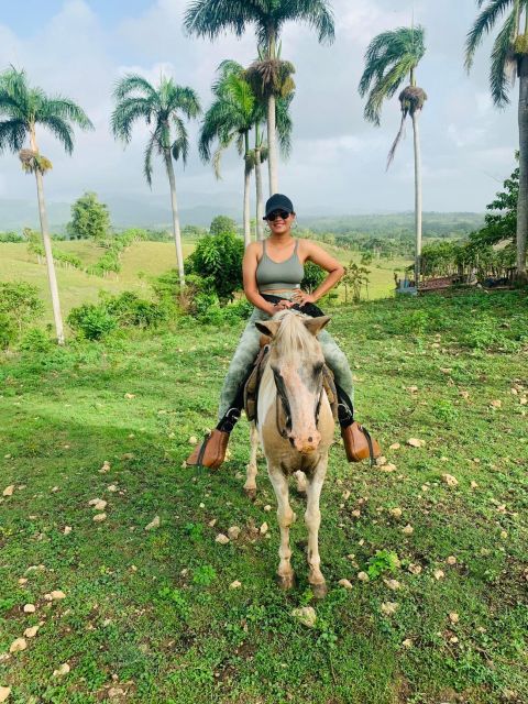 From Punta Cana: Zafary City Tour Half Day + Cathedral + Buffet - Cultural Experiences