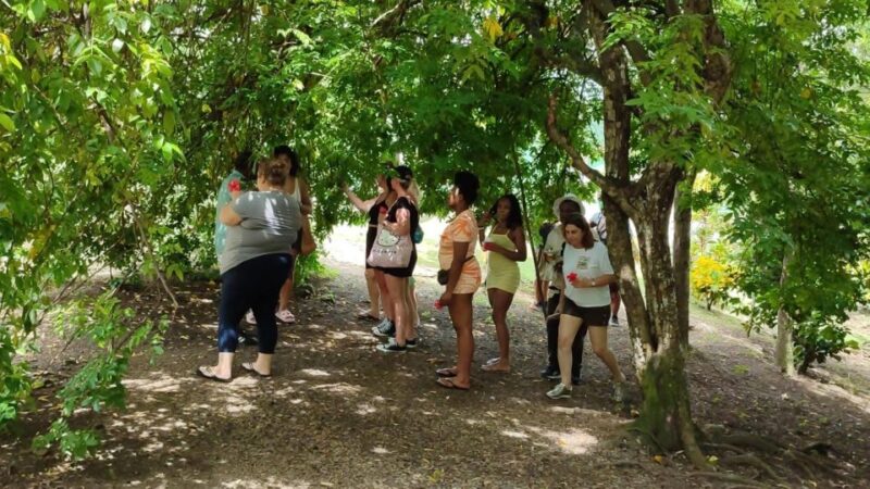 From Punta Cana: Zafary City Tour Half Day + Cathedral + Buffet - Basilica of Higüey
