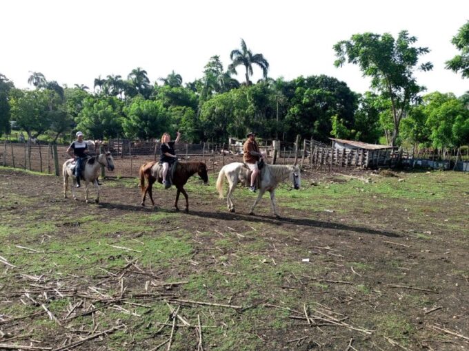 From Punta Cana: Zafary City Tour Half Day + Cathedral + Buffet - Frequently Asked Questions