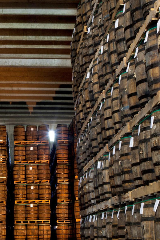 FROM Puntacana: Ron Barcelo Rum Factory Tour+Bayahibe Beach - Bayahibe Beach Visit