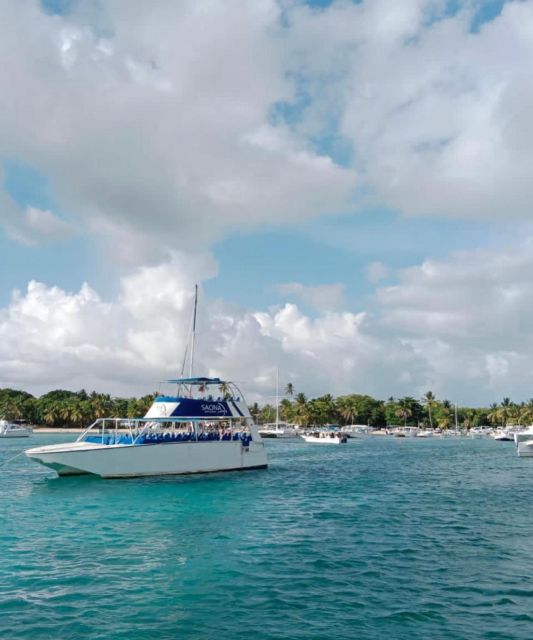 From Puntacana- Saona Island/Catamaran- Drinks and Buffet - Itinerary and Activities