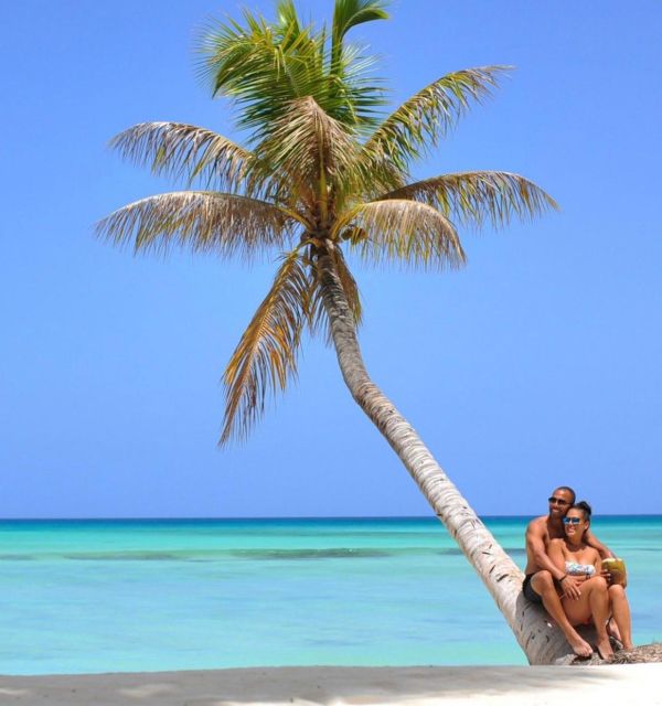 From Puntacana- Saona Island/Catamaran- Drinks and Buffet - Included Features