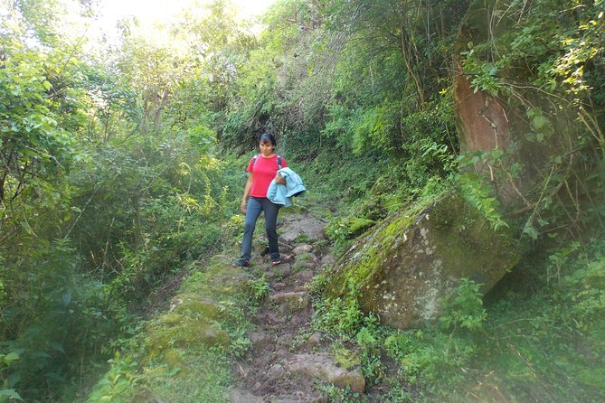From Quebrada De Humahuaca to Yungas Jungle by the Qhapac Ñan - Yungas Jungle Descent