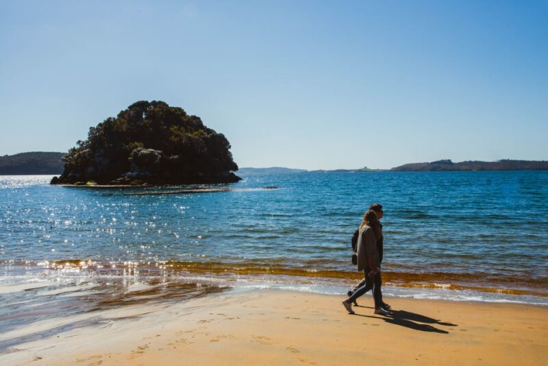 From Queenstown: Day Trip to Stewart Island by Plane - Explore Stewart Island