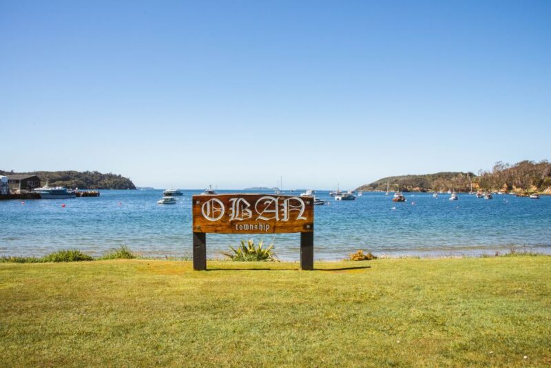 From Queenstown: Day Trip to Stewart Island by Plane - Optional Activities