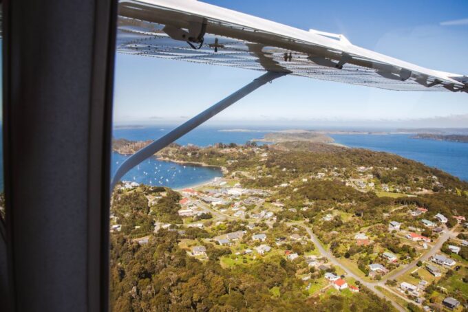 From Queenstown: Day Trip to Stewart Island by Plane - Recap