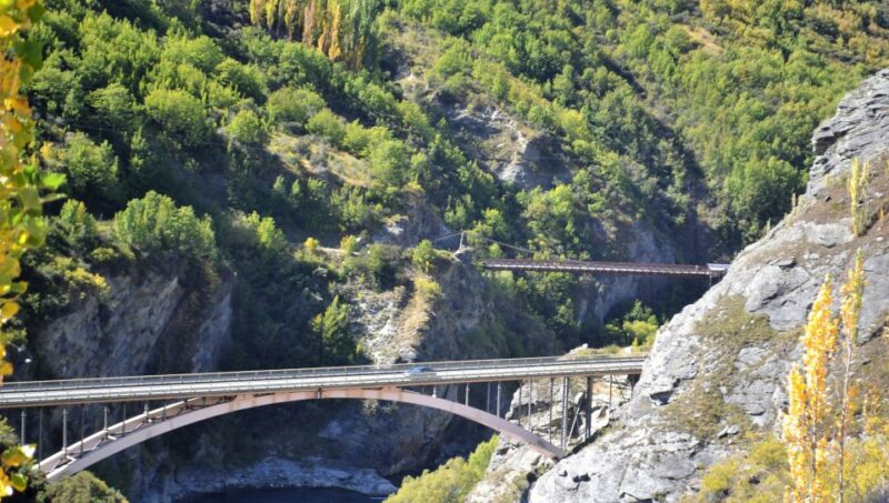 From Queenstown: Gold Panning Day-Trip With Morning Tea - Key Points