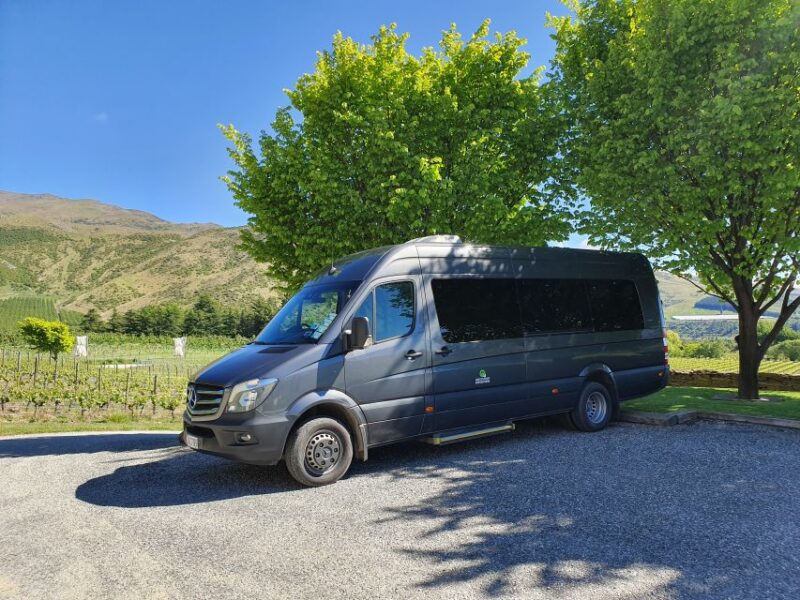 From Queenstown: Gold Panning Day-Trip With Morning Tea - Experience Details