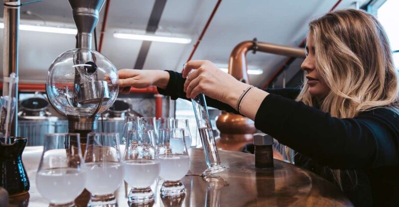 From Queenstown: Guided Gin Tour With Tastings - Key Points
