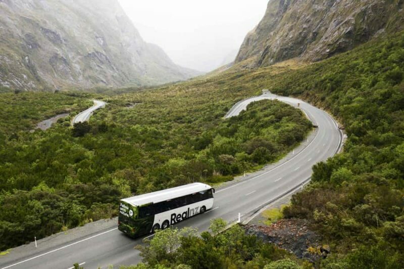 From Queenstown: Milford Sound Cruise and Coach Day Tour - The Experience in Context: Is It Worth It?