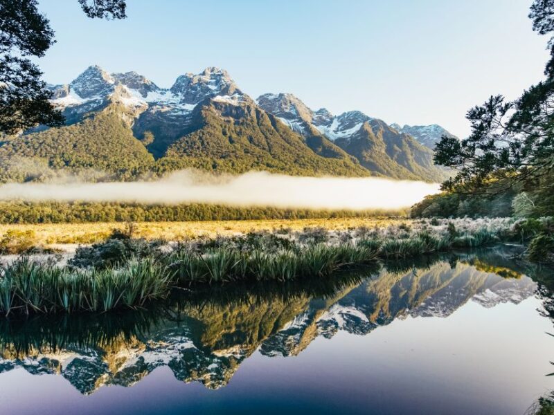 From Queenstown: Milford Sound Cruise and Coach Day Trip - Transportation Details