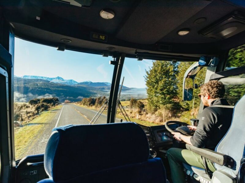 From Queenstown: Milford Sound Cruise and Coach Day Trip - Cruise Experience