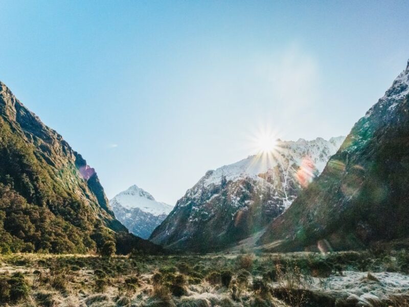 From Queenstown: Milford Sound Cruise and Coach Day Trip - Scenic Highlights