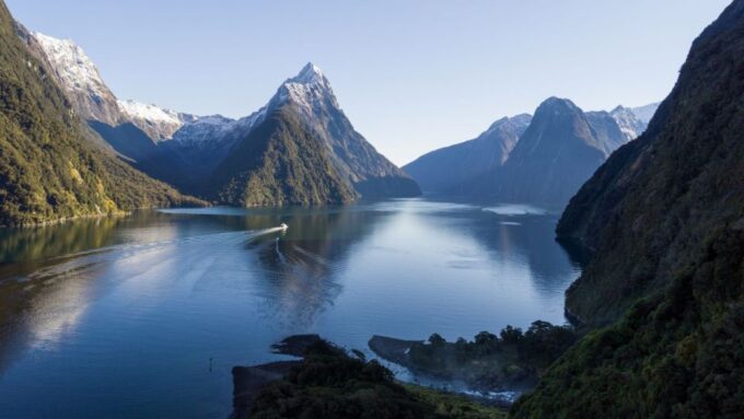 From Queenstown: Milford Sound Cruise and Coach Day Trip - Recap