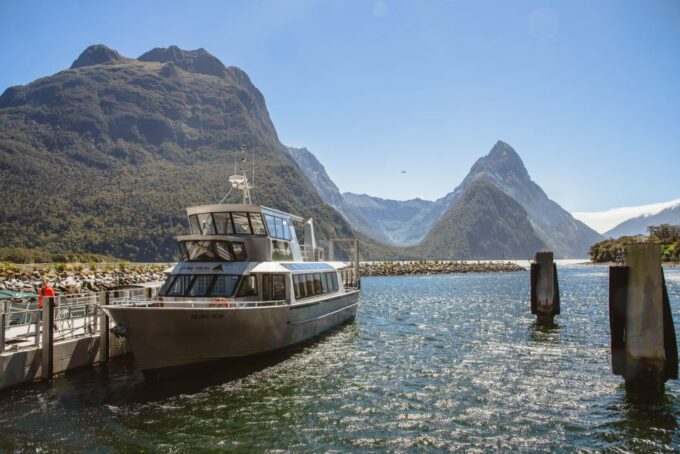 From Queenstown: Milford Sound Cruise and Scenic Drive - Cruise and Wildlife Sightings