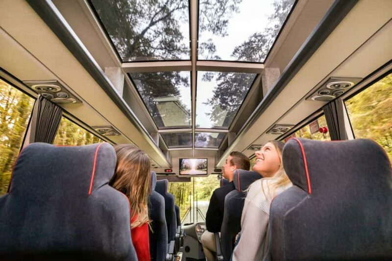 From Queenstown: Milford Sound Day Trip on Premium Coach - Key Points