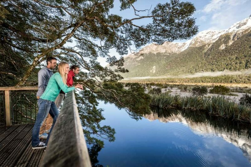 From Queenstown: Milford Sound Day Trip on Premium Coach - A Deep Dive into the Experience