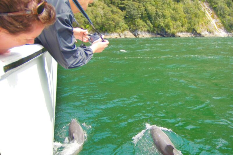 From Queenstown: Milford Sound Flight and Boat Cruise - Weather and Flexibility