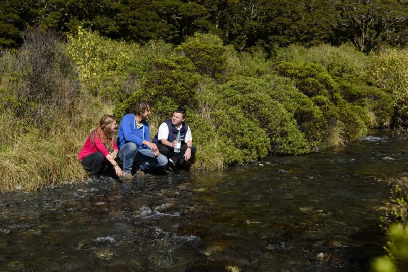 From Queenstown: Milford Sound Full-Day Tour With Lunch - Tour Features