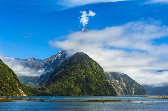 From Queenstown: Milford Sound Full-Day Tour With Lunch - Meeting Point