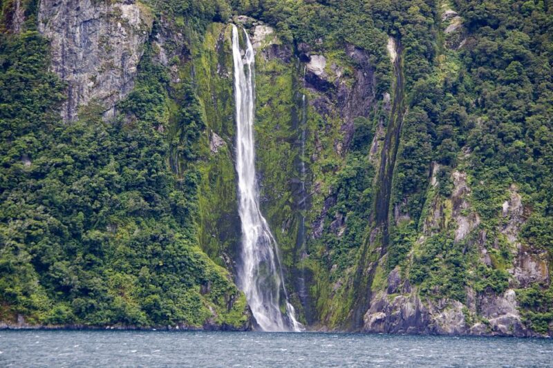 From Queenstown: Milford Sound Full-Day Trip by Plane & Boat - Highlights of the Experience