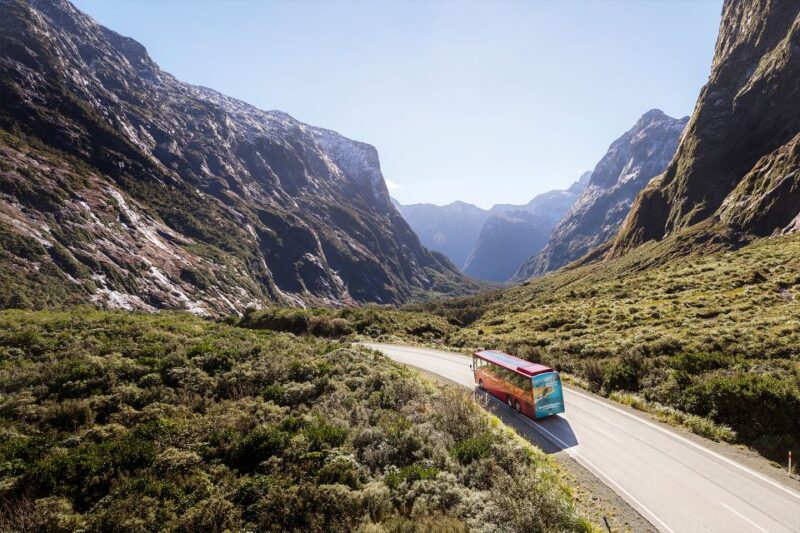 From Queenstown: Milford Sound, Observatory & Cruise W Lunch - Experience Highlights