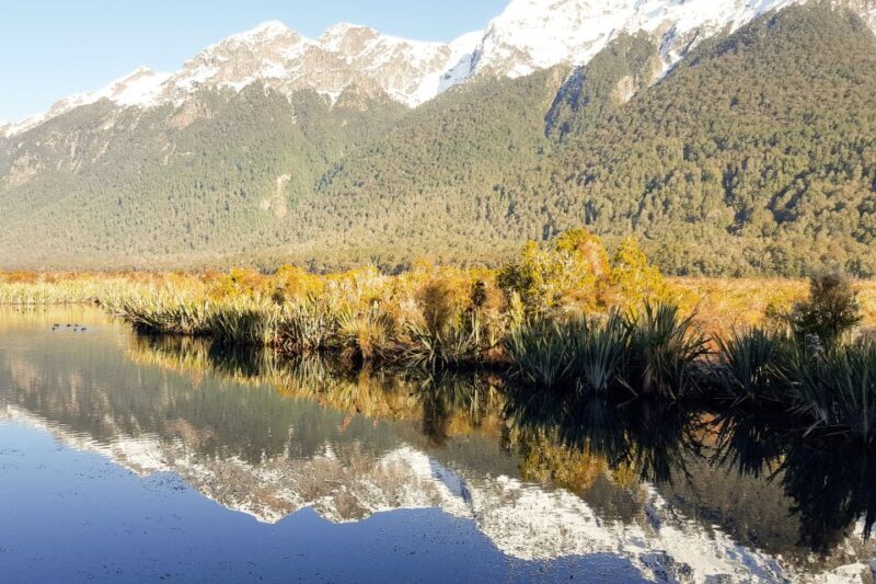 From Queenstown: Milford Sound Premium Day Tour and Cruise - Cruise Experience