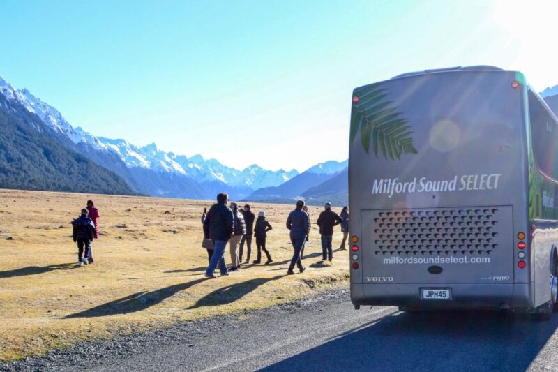 From Queenstown: Milford Sound Premium Day Tour and Cruise - Customer Reviews and Feedback