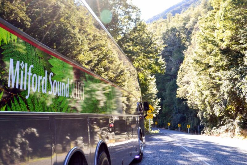 From Queenstown: Milford Sound Premium Day Tour and Cruise - Cancellation Policy and Refund