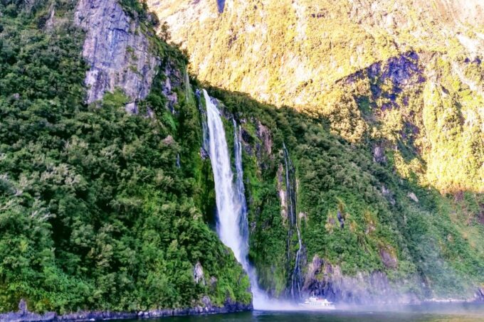 From Queenstown: Milford Sound Premium Day Tour and Cruise - Payment Options and Reservations