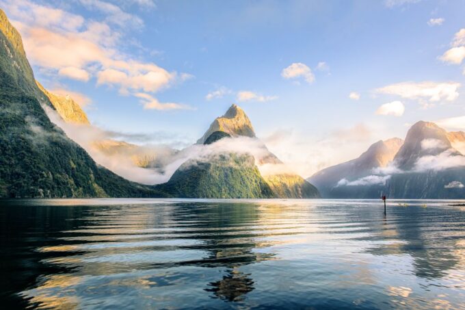 From Queenstown: Milford Sound Premium Day Tour and Cruise - Recap