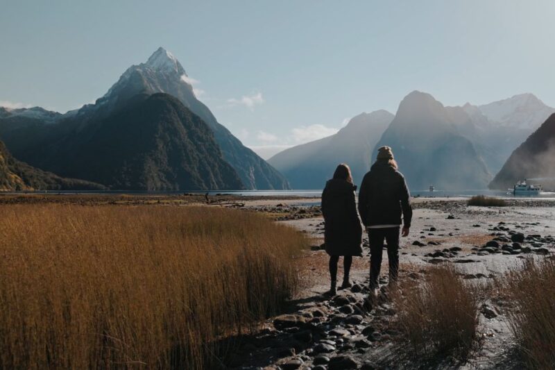 From Queenstown: Milford Sound Scenic Flight & Nature Tour - Flight Experience