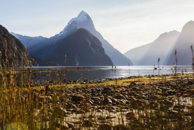 From Queenstown: Milford Sound Scenic Flight & Nature Tour - Customer Feedback