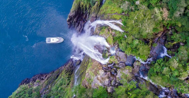 From Queenstown: Milford Sound Tour and Cruise With Lunch - Itinerary and Highlights