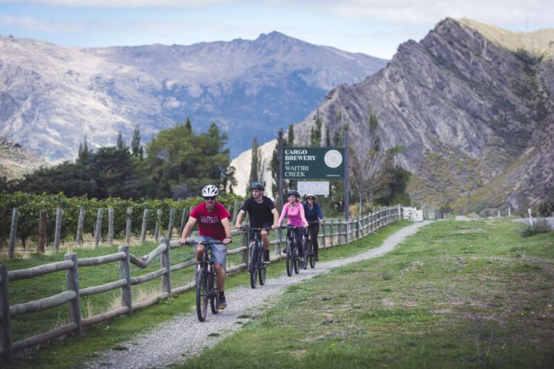 From Queenstown: Self-Guided Wineries Bike Tour - Bike and Route Details