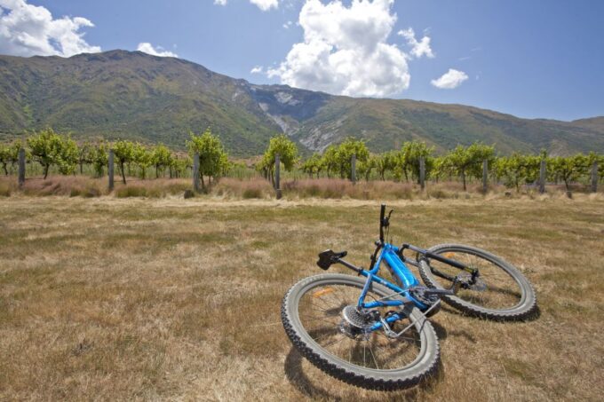 From Queenstown: Valley of the Vines Wine and Bike Tour - Customer Reviews