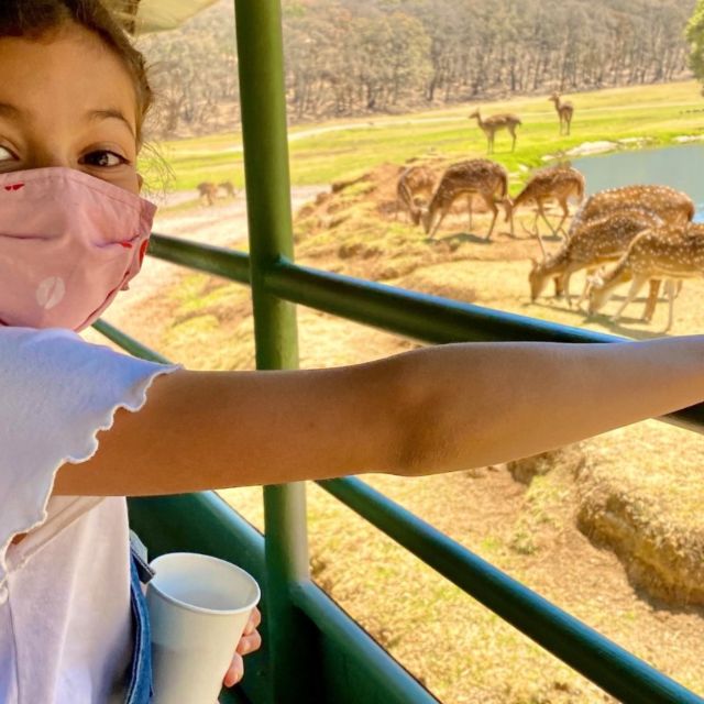 From Querétaro Biopark Star - Optional Adrenaline Activities
