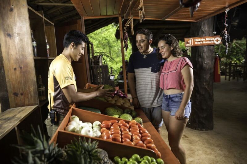From Quintana Roo: Ek Balam Mayan Ruins and Cenote Day Trip - Inclusions