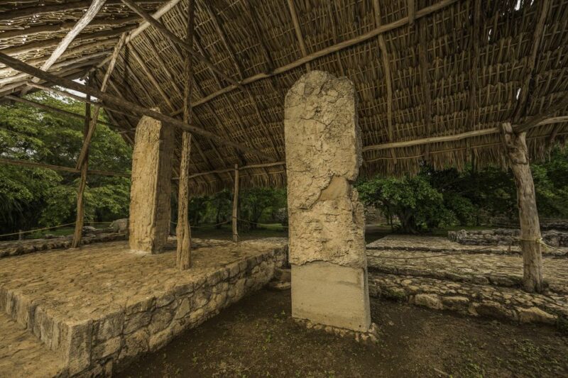From Quintana Roo: Ek Balam Mayan Ruins and Cenote Day Trip - Customer Feedback