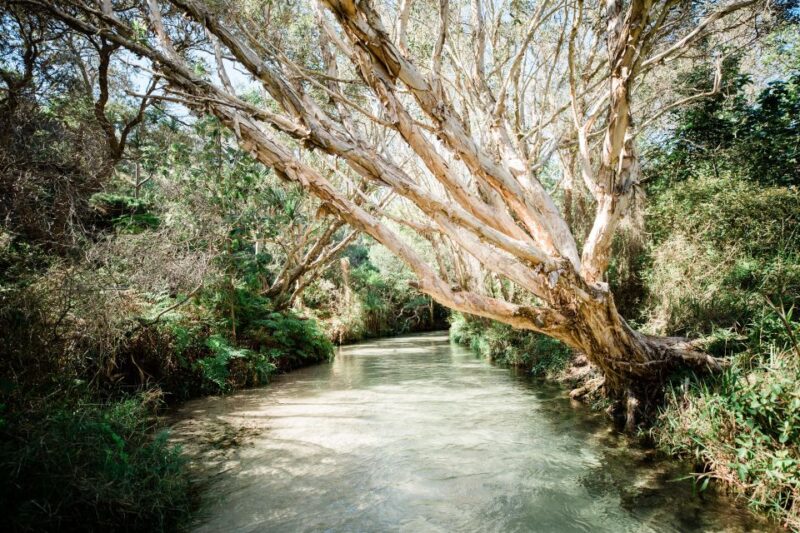From Rainbow Beach: Kgari Fraser Island Full-Day Coach Tour - Inclusions