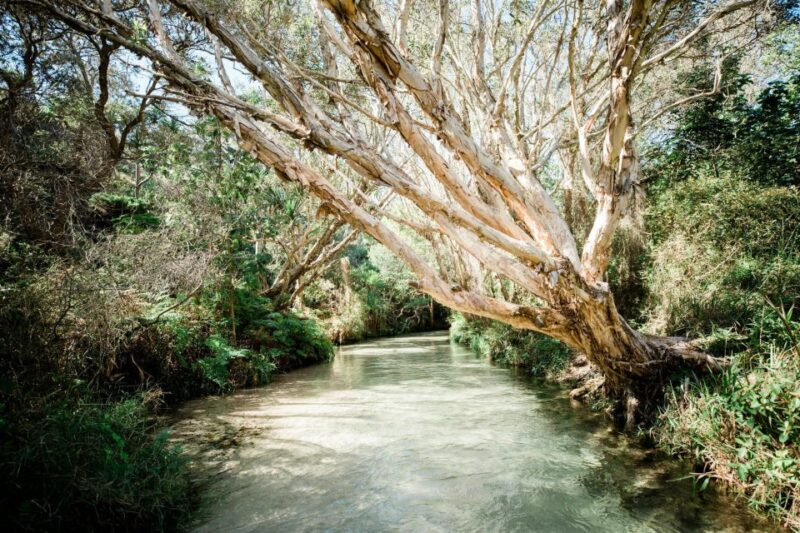 From Rainbow Beach: Kgari, Fraser Island Two-Day Coach Tour - Highlights of the Tour