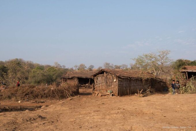 From Rajkot: Gir Somnath Weekend Tour - Pickup Locations