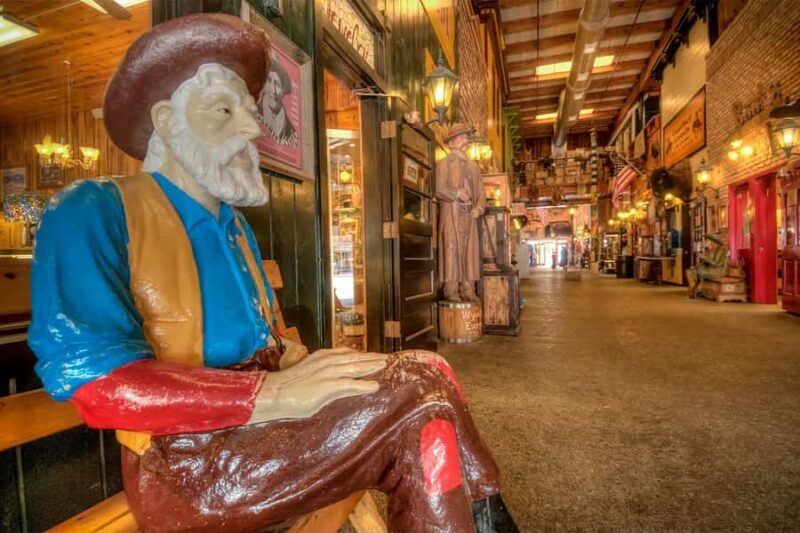 From Rapid City: Badlands and Wall Drug Store Tour - Practical Tips and Final Thoughts